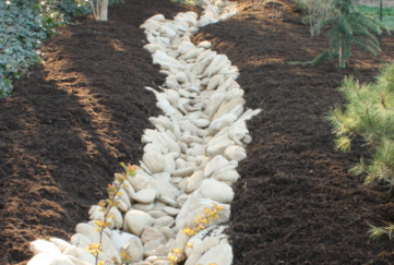 drainage